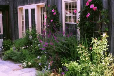 Pink, rose and green colors repeat along the wall and shrub border.