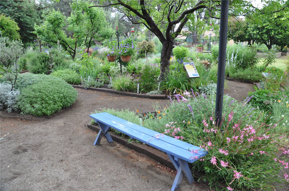 Cool Blue Bench