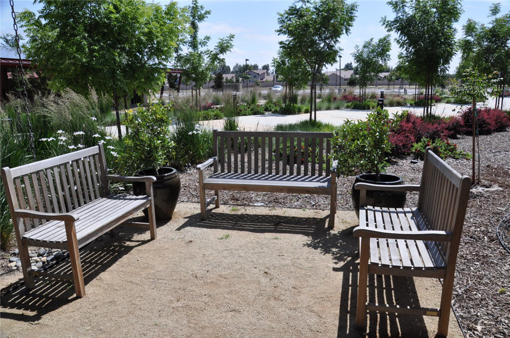 Benches for Friendship