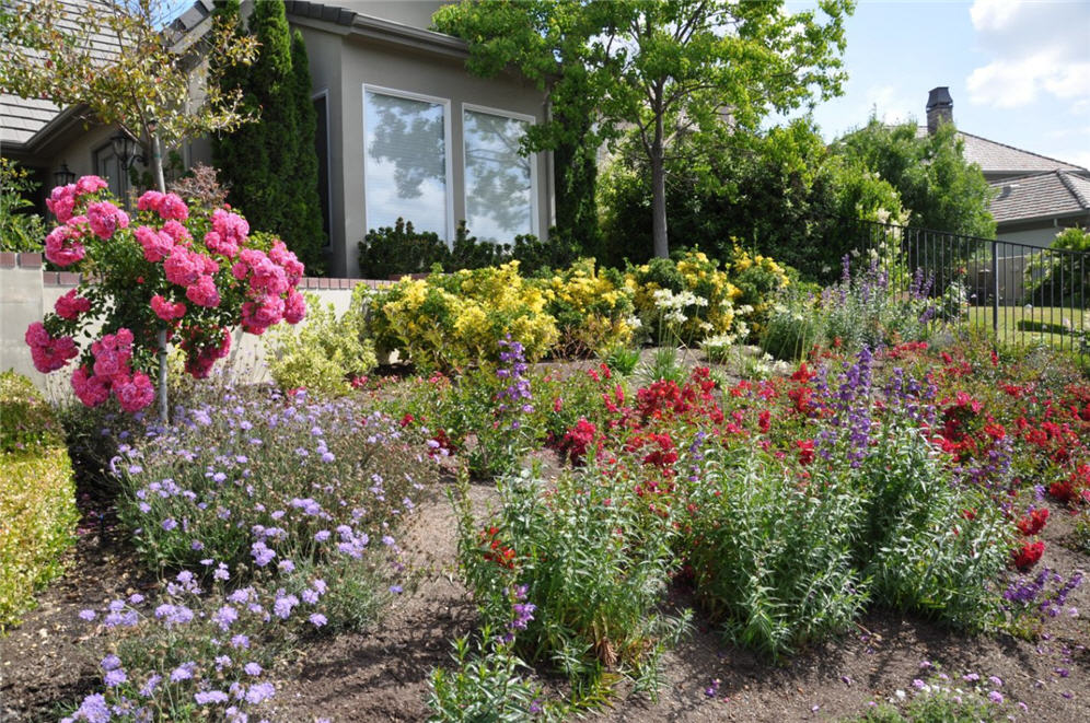 Colorful Perennial Garden