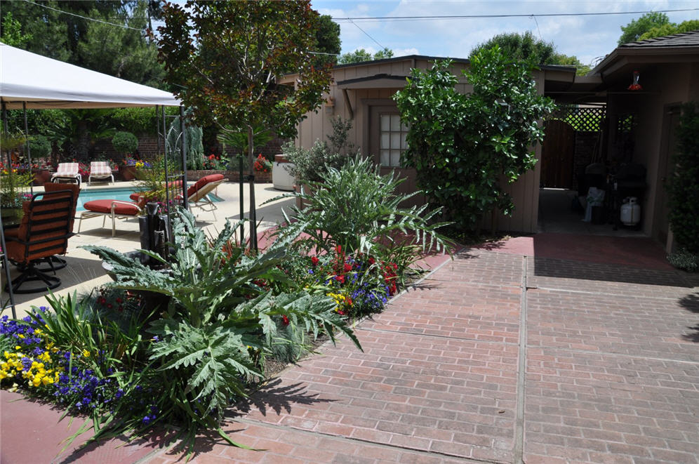 Planting Bed of Color