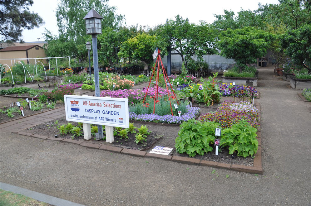 Display Garden