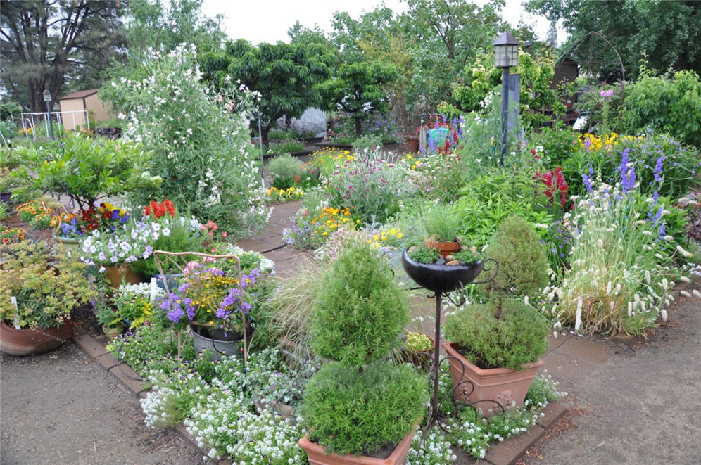 Whimsical Garden