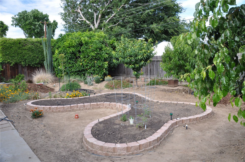 Vegetable Garden