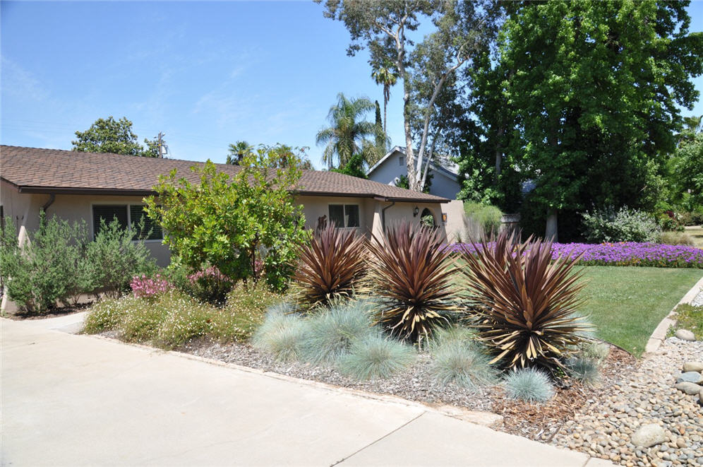 Perennial Plantings