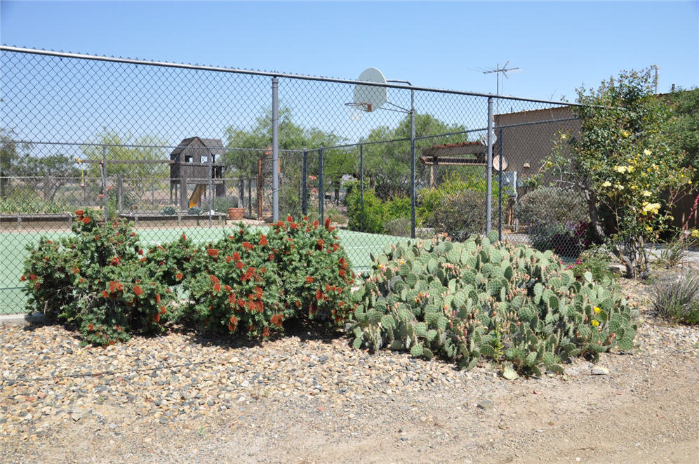 Rocks used as Mulch