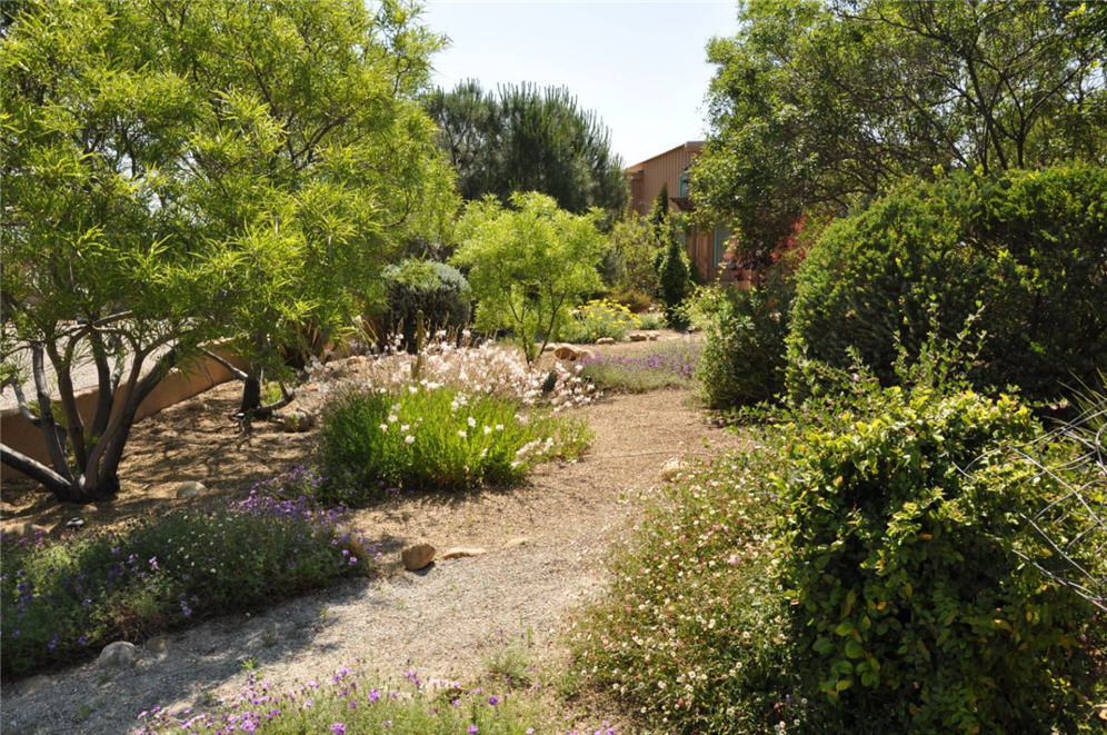 Meandering Walkway