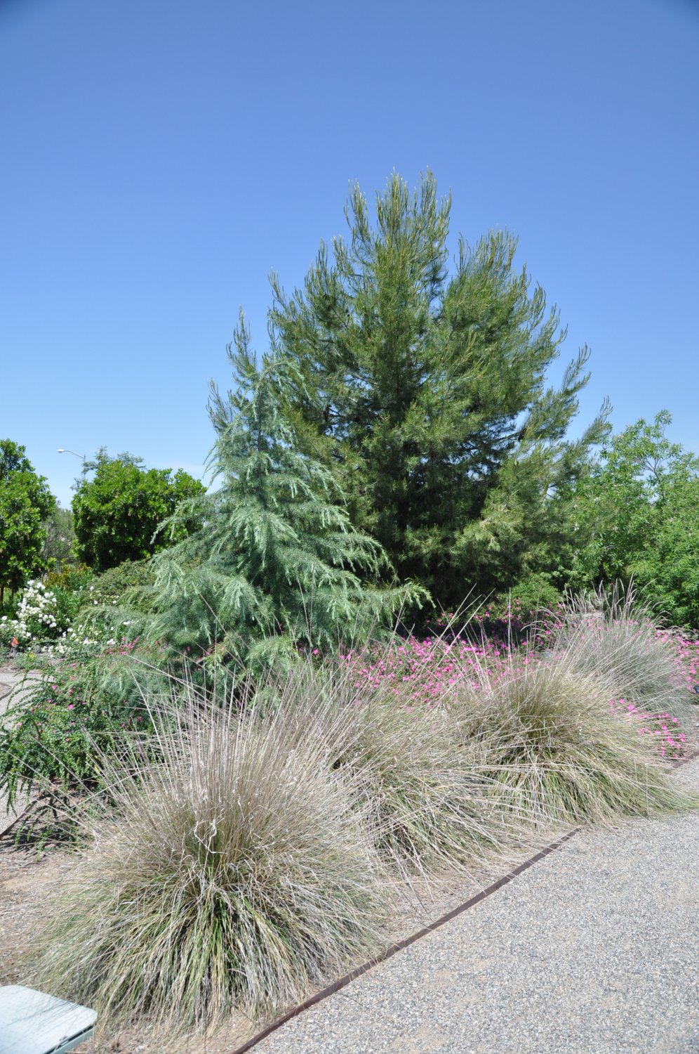 Clovis Botanical Garden