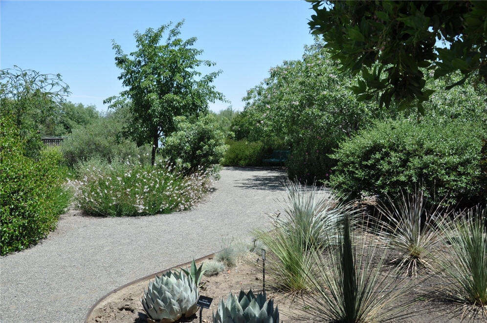 Botanical Garden Walkway