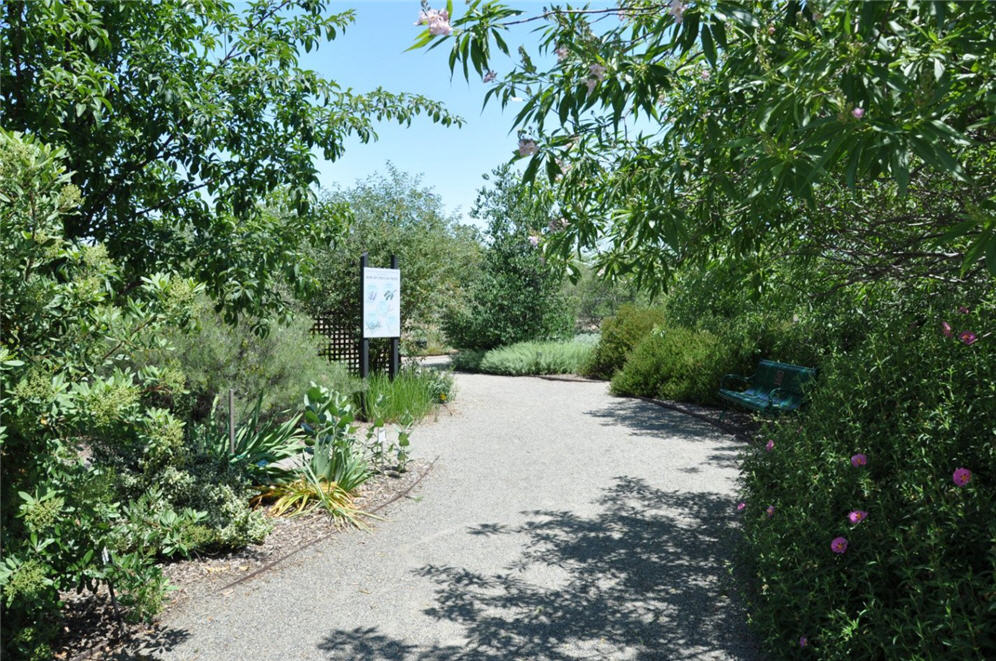 Botanical Garden Path