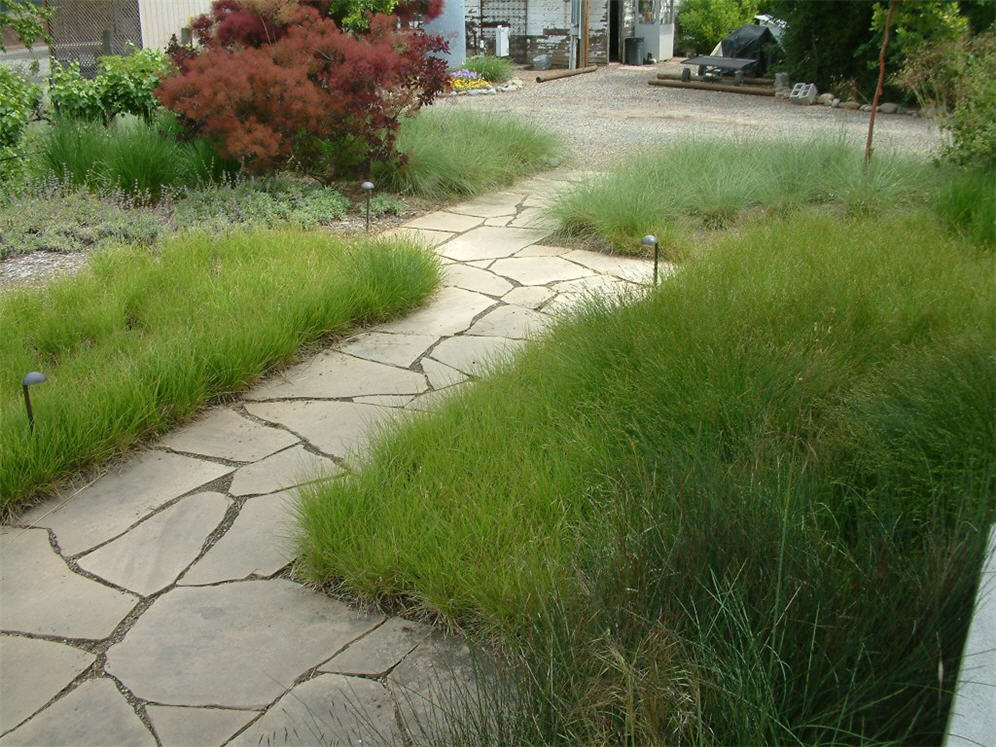 View of Walk from on the Wall