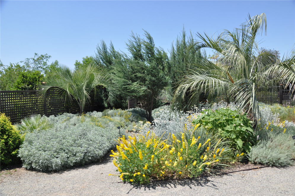 Botanical Garden Bed