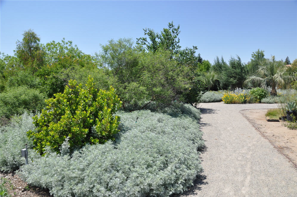 Botanical Garden Bed II