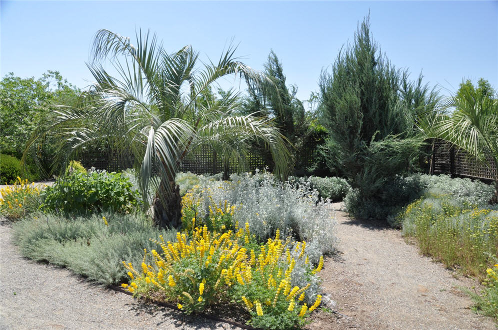 Botanical Garden Bed III