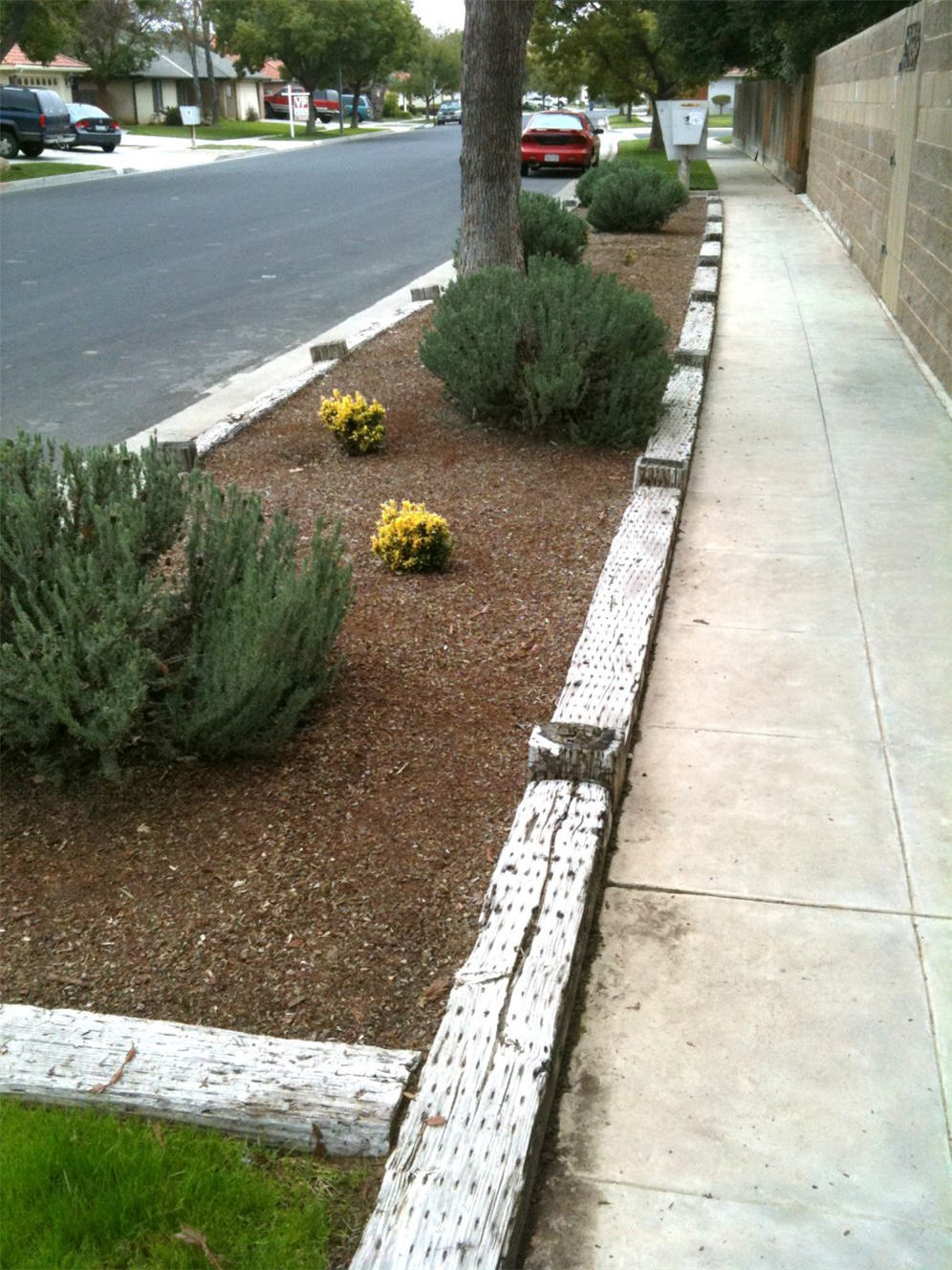 Mulched and Neat