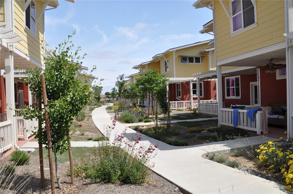 Rows of Front Gardens