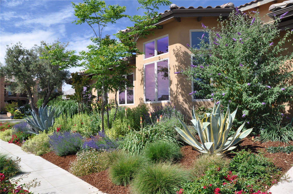 Colors come alive in Mulch