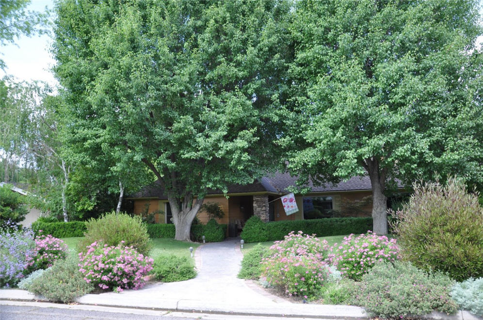 Forest Front Yard