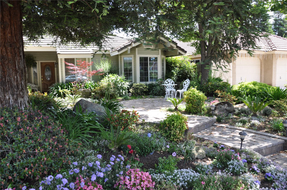 Shaded Front Yard