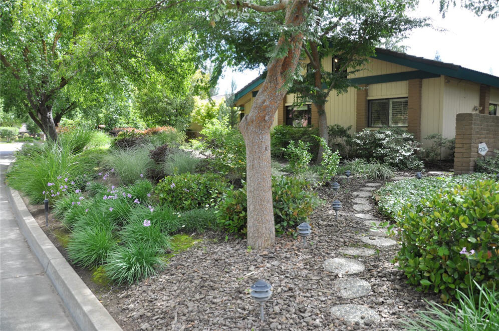 Path Through Mulch