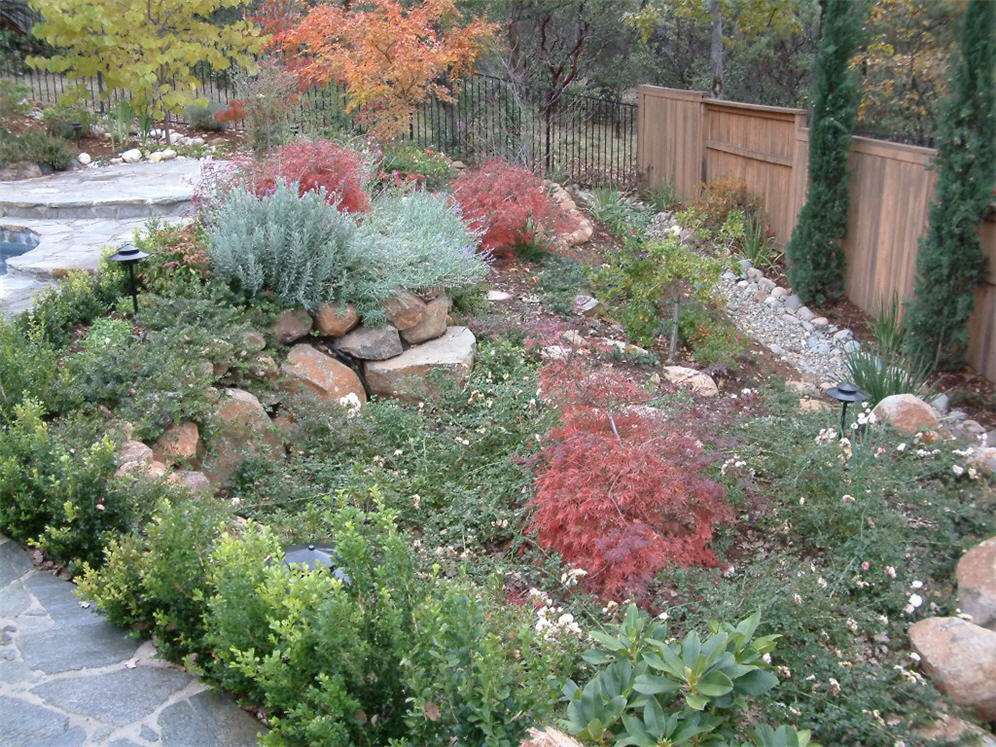 Colorful Shrub Bed