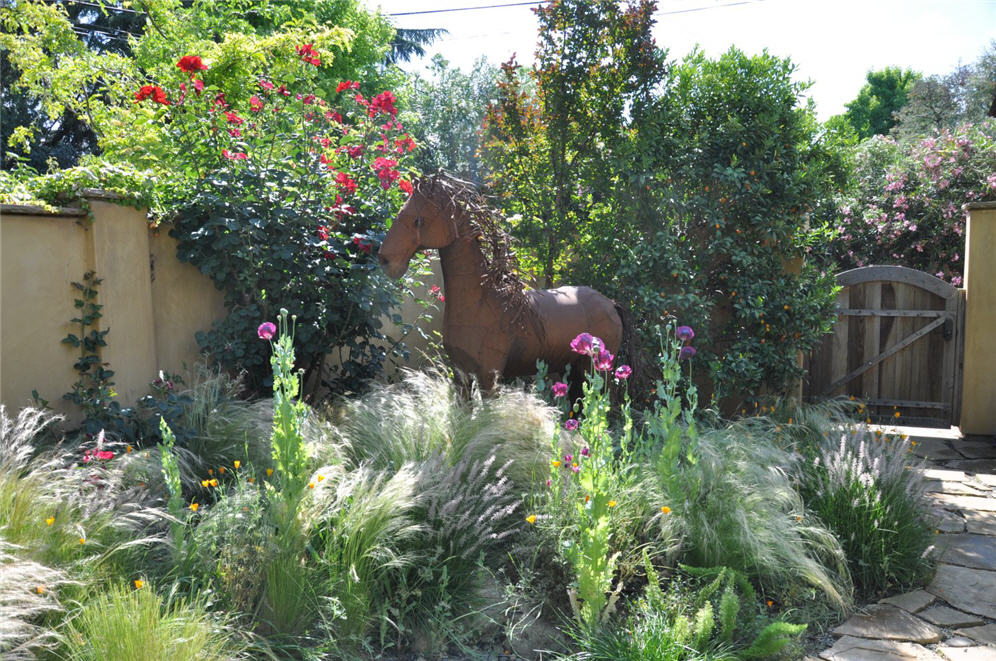 Grasses and Friends