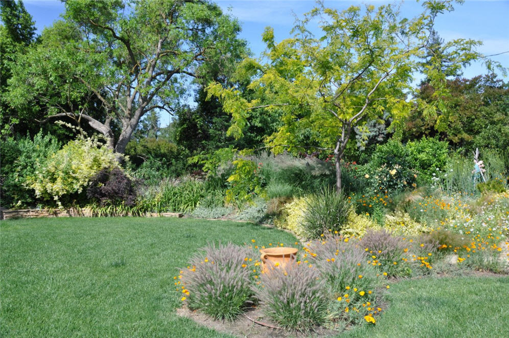 Blend of turf and water-wise plants